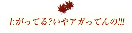 上がってる?いやアガってんの!!!