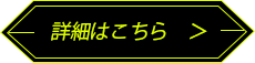 詳細をみる